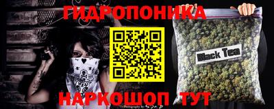СК Сланцы